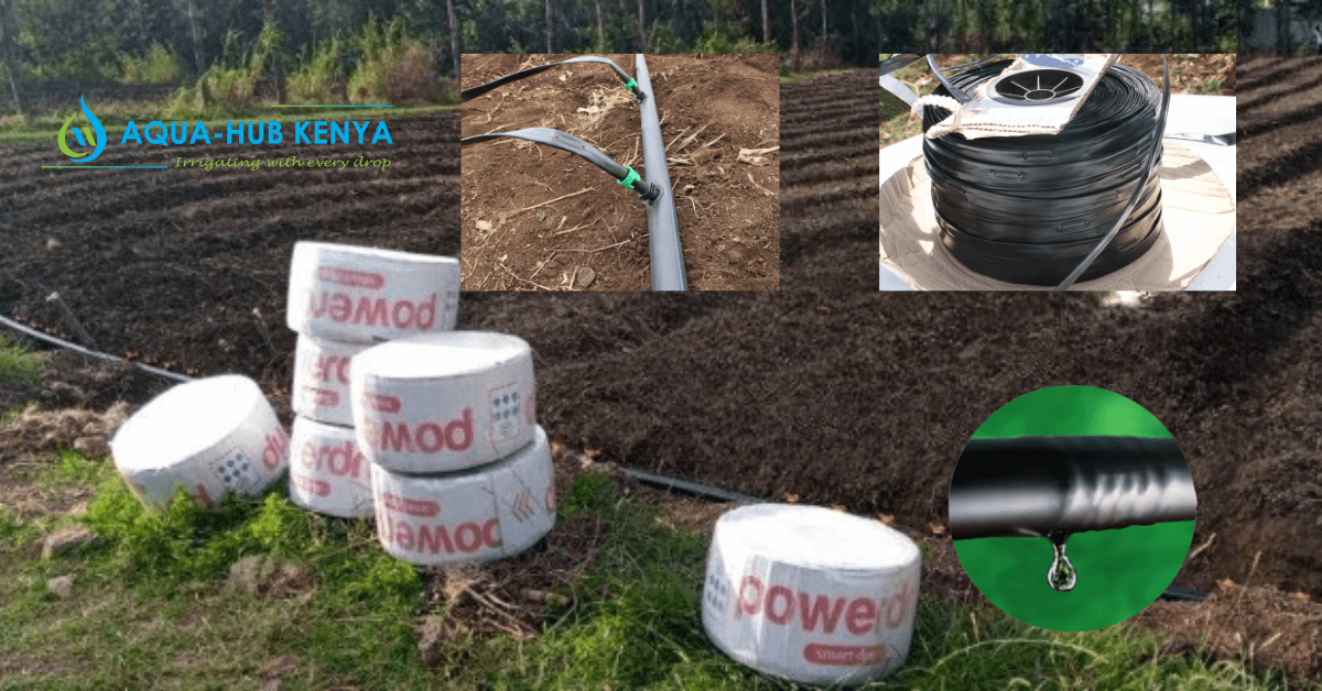 Drip Irrigation by Aqua Hub Kenya