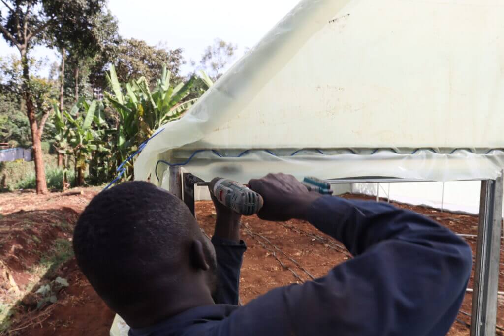 Metallic Greenhouse Prices In Kenya Metallic Greenhouse Prices In Kenya