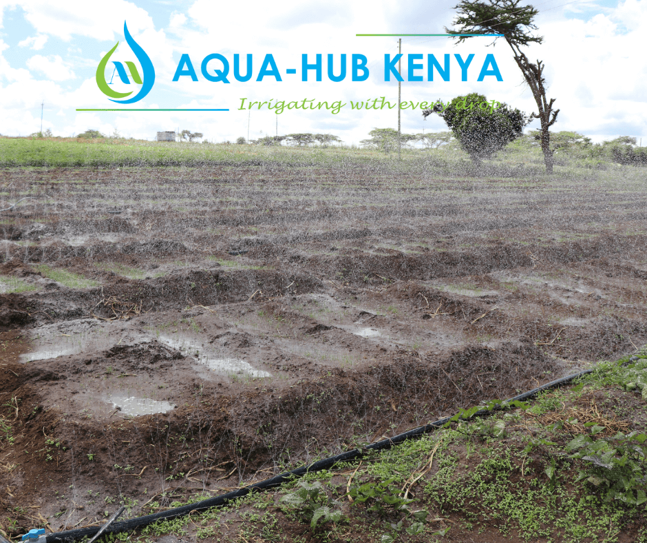 Rain Hose Irrigation