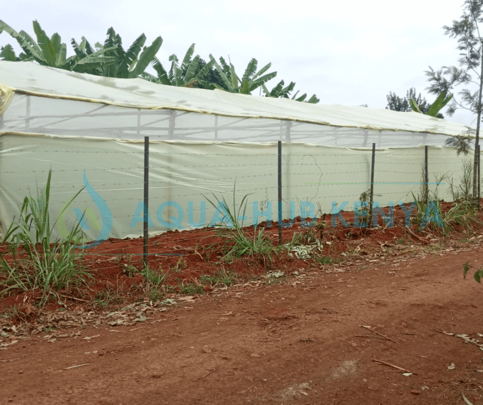 Cost of Greenhouse in Kenya
