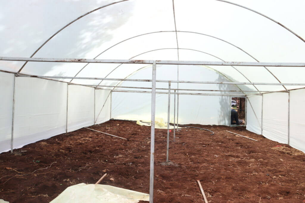 Greenhouse Company in Nairobi