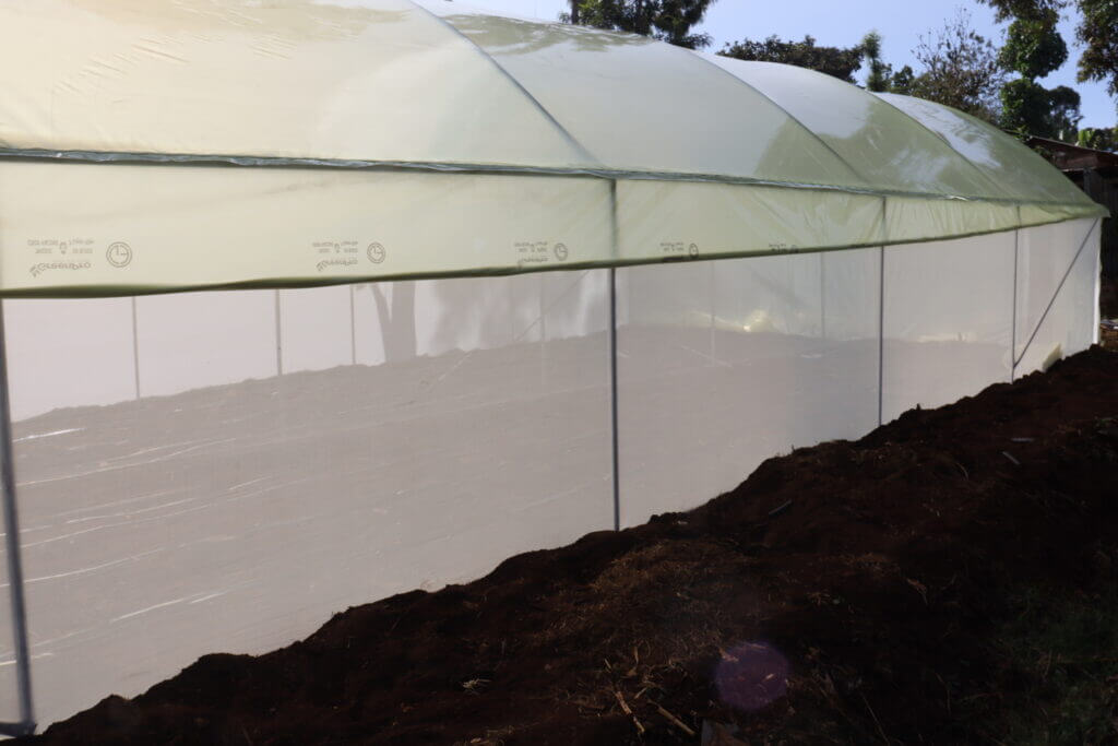 Greenhouse Company in Kenya