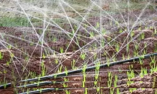 Rain hose irrigation system