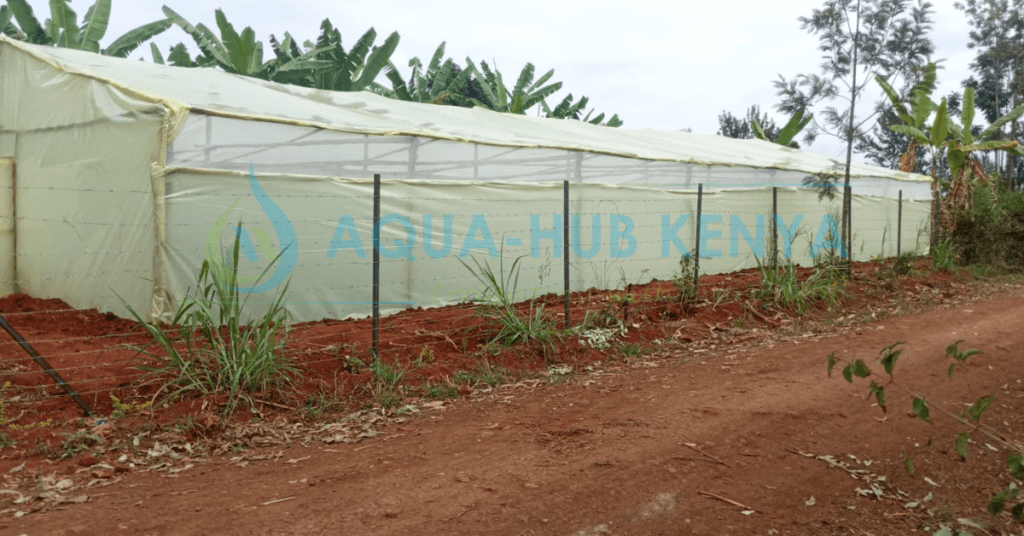 Cost of Greenhouse in Kenya