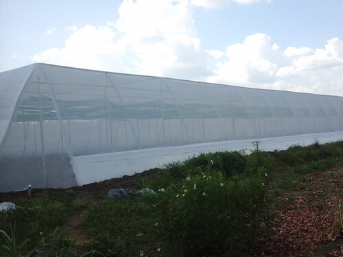 Greenhouse Nets by Aqua Hub Kenya