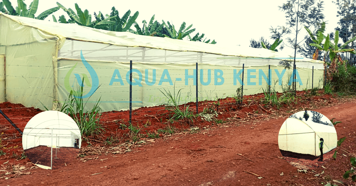 Best Greenhouse Company in Kenya