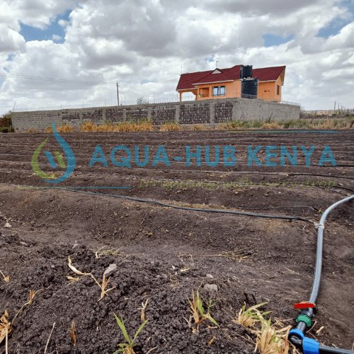 Drip Lines Irrigation