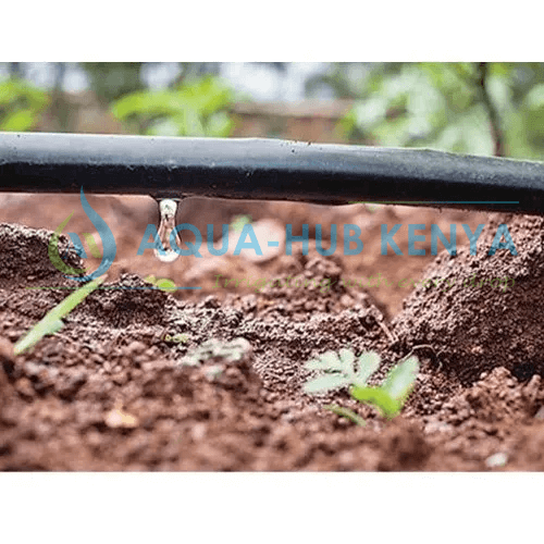 Drip Lines Irrigation