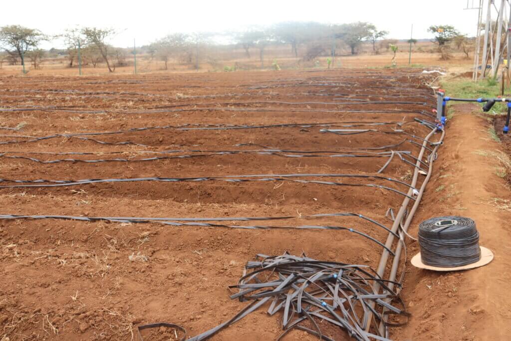 How to Install Drip Irrigation Kits