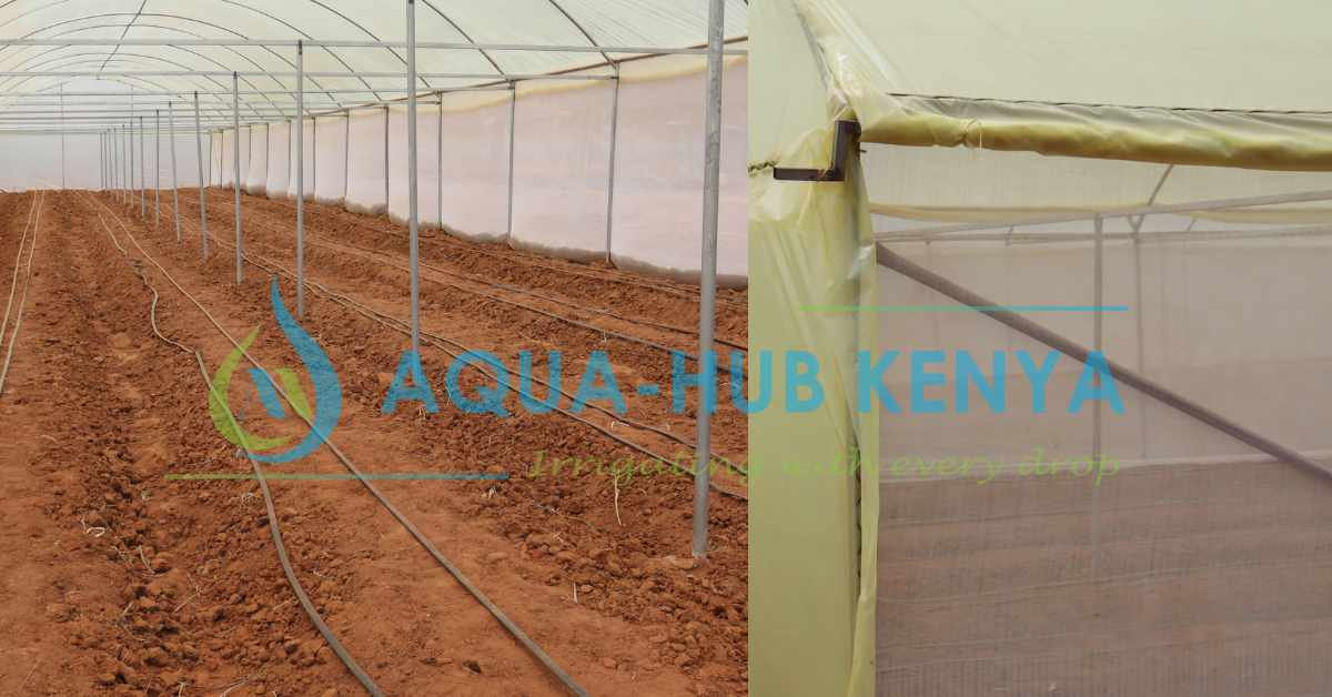 Quality Greenhouses in Kenya