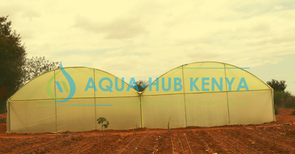 Affordable Greenhouses in Kenya