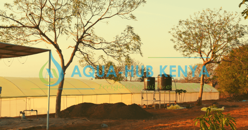 Cost of Greenhouse in Kenya Greenhouse prices in Kenya