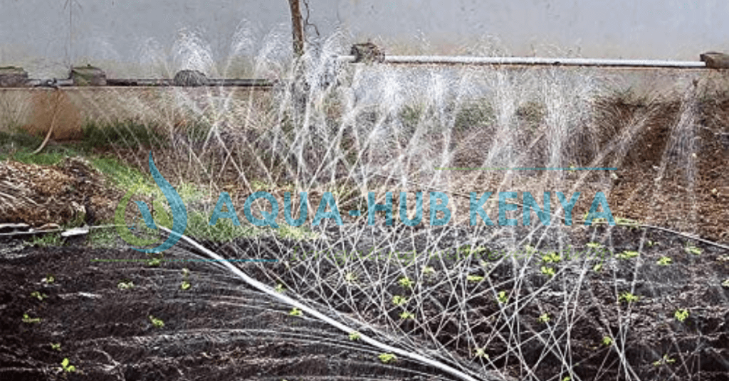 Rain hose Irrigation in Kenya