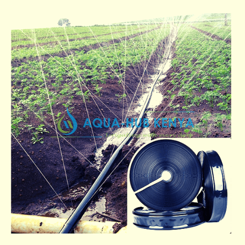 Rain hose Irrigation in Kenya