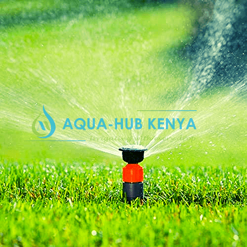 Pop-up Sprinklers in Kenya