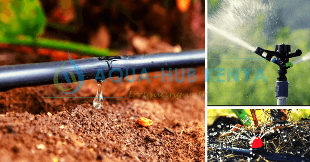 Irrigation Systems in Kenya