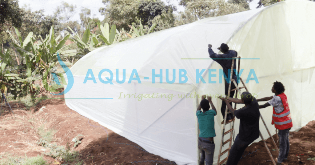 Greenhouse Construction in Kenya