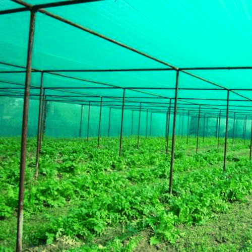 Agricultural Nets in Kenya
