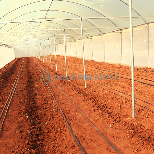 Greenhouse Construction in Kenya