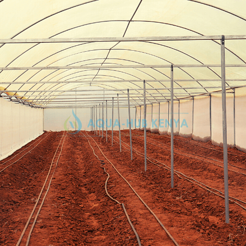 Greenhouse Construction in Kenya