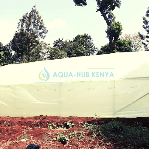 Greenhouse Construction in Kenya