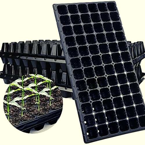 Quality Seedling Trays in Kenya