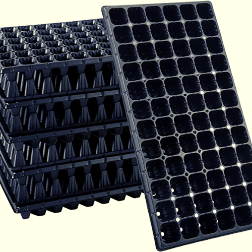 Quality Seedling Trays in Kenya