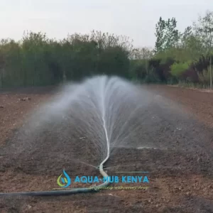 Rain hose Irrigation in Kenya