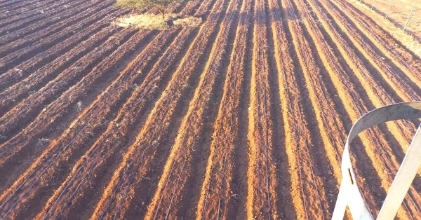 Drip Irrigation in Kenya