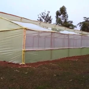 Wooden Greenhouses in Kenya