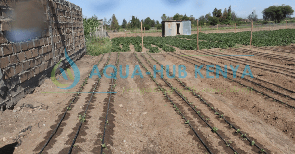 Cost of Drip Irrigation in Kenya