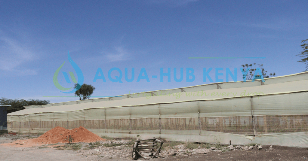 Greenhouse Prices in Kenya