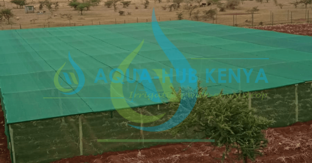 Shade Net Nurseries in Kenya