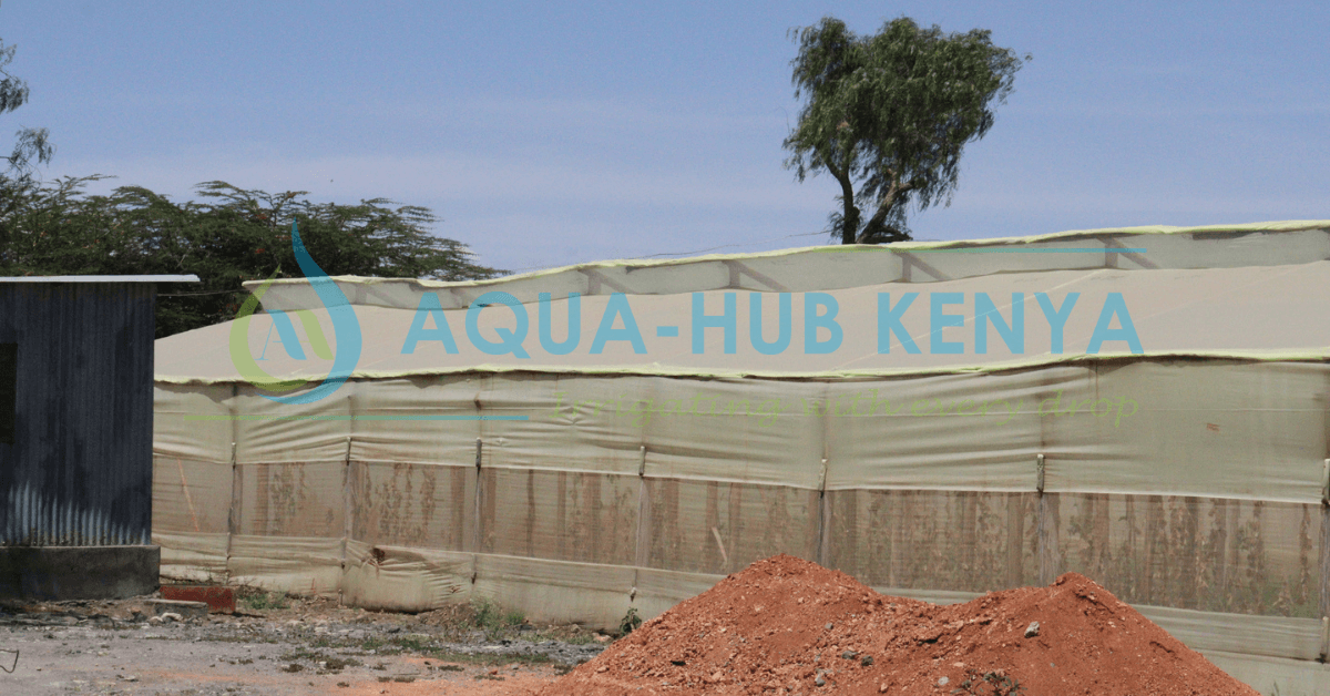 Greenhouse Construction Experts in Kenya