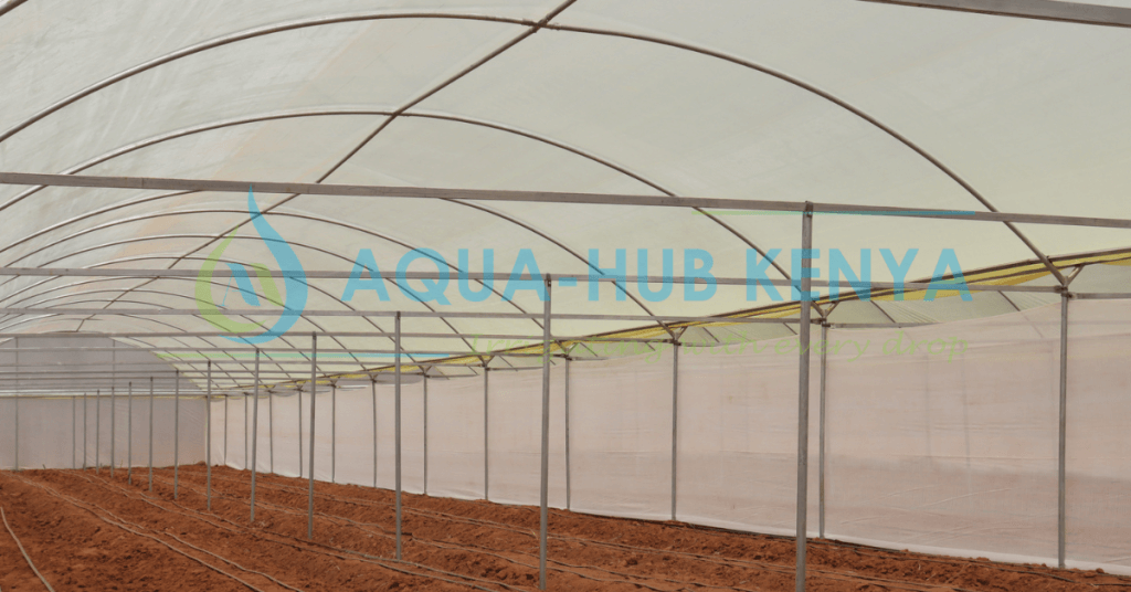 Greenhouse Prices in Kenya