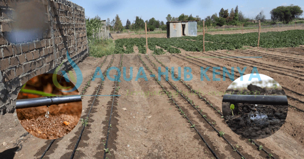 Drip irrigation Kits