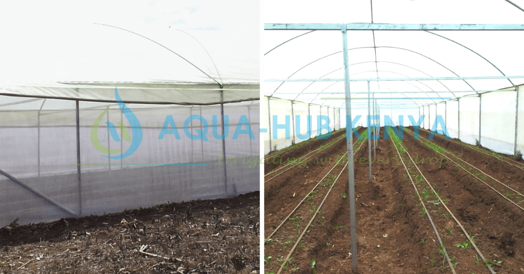 Best Greenhouse Kits in Kenya