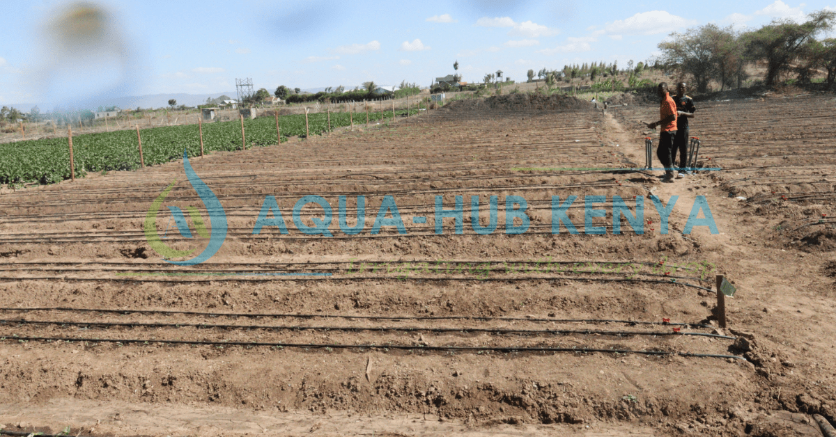 Drip Irrigation