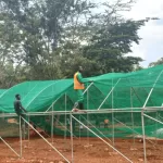 Shade Nets in Kenya