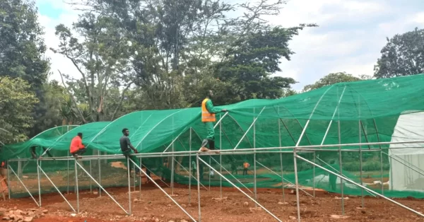 Shade Nets in Kenya