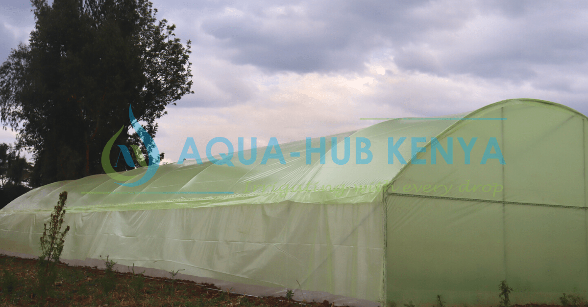 Steel Greenhouse in Kenya