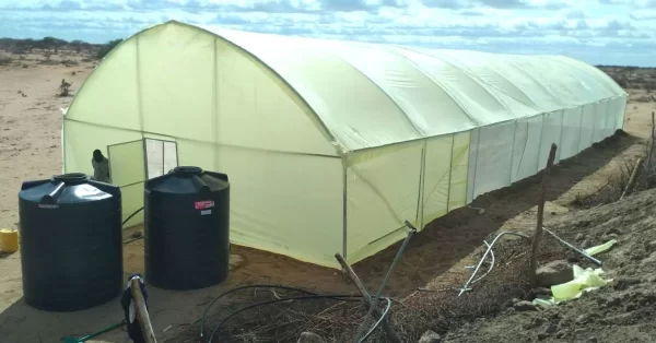 Metallic greenhouse in Kenya