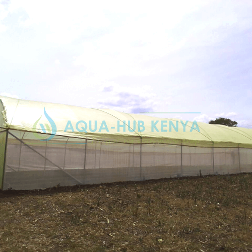 Best Greenhouse Kits in Kenya
