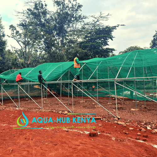 Shade Net Nurseries in Kenya