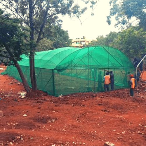 Shade Net Nurseries in Kenya