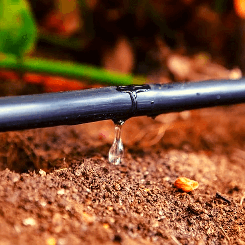 Cost of Drip Irrigation in Kenya