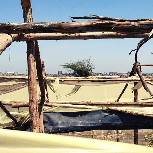 Greenhouse Repair in Kenya
