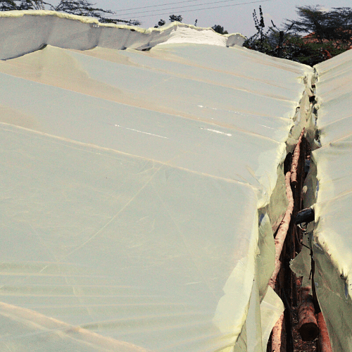 Greenhouse Repair in Kenya