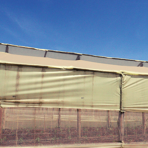 Greenhouse Prices in Kenya