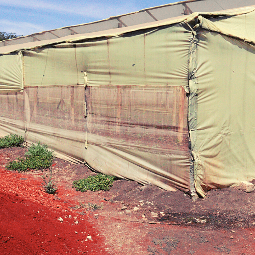 Greenhouse Prices in Kenya